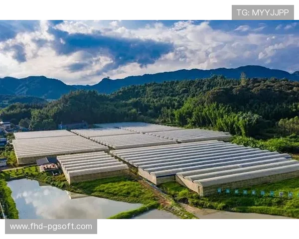 ESG理念深度融入制作流程，远程制作模式有效缩减行业碳足迹